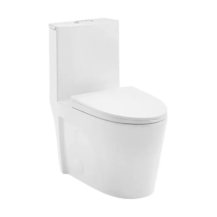 ACE One-Piece Elongated Toilet, 1.1/1.6 GPF Dual-Flush