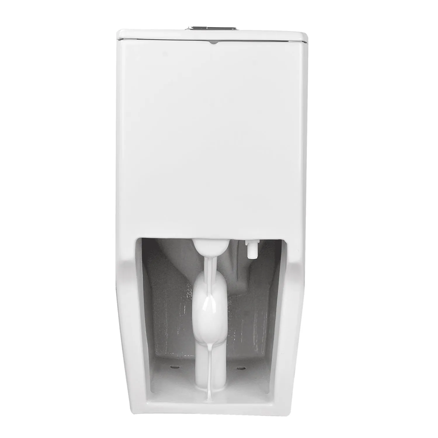 ACE One-Piece Elongated Toilet, 1.1/1.6 GPF Dual-Flush