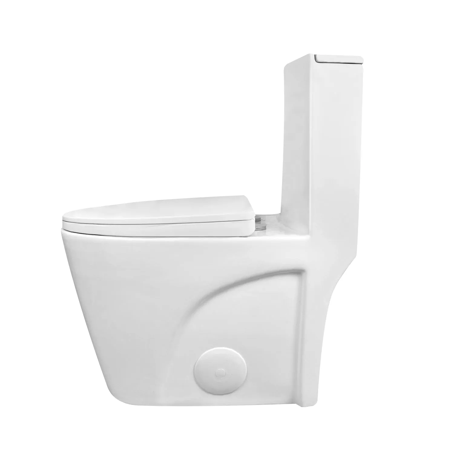 ACE One-Piece Elongated Toilet, 1.1/1.6 GPF Dual-Flush