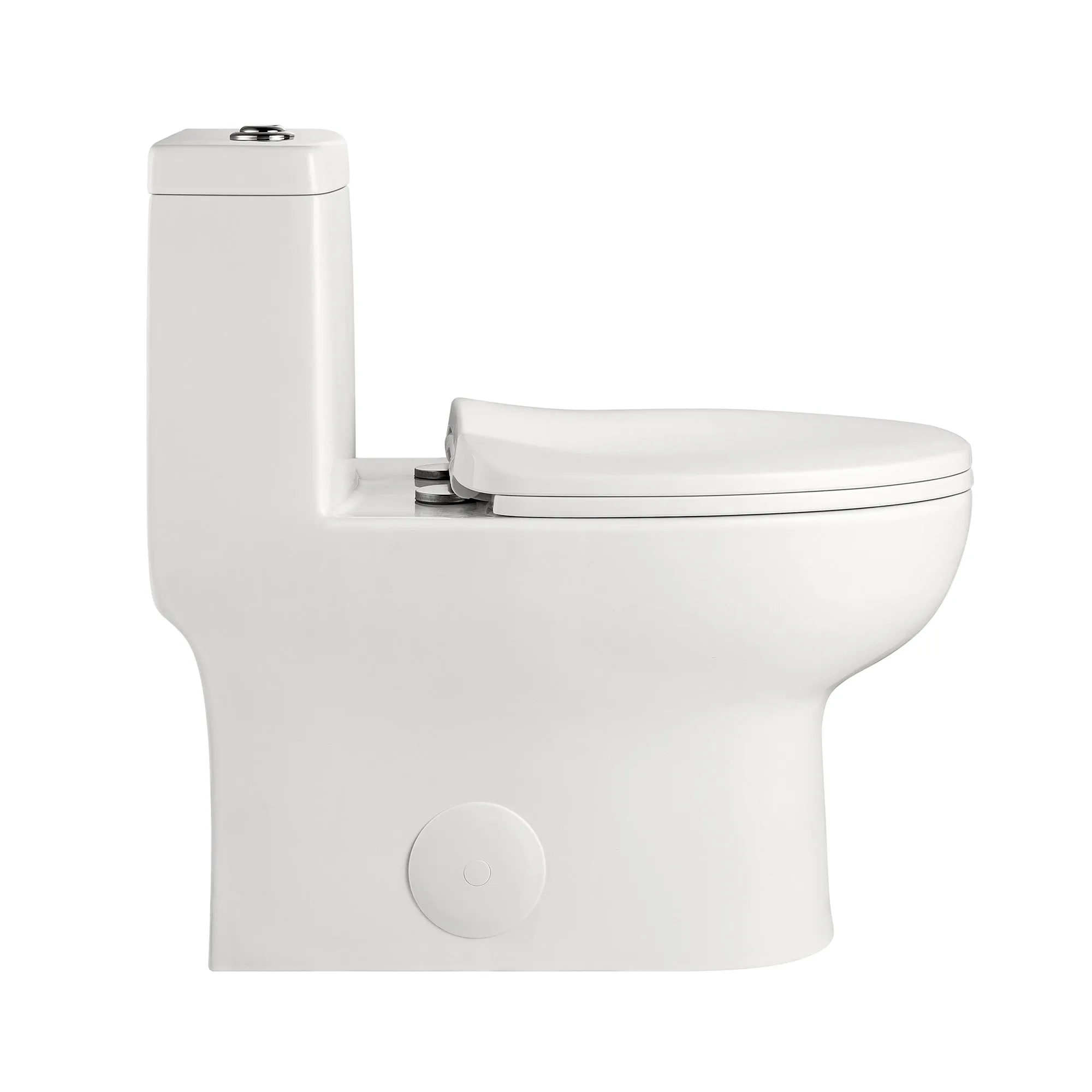 ALLY One-Piece Elongated Toilet, 10" Rough-in Standard-Size with Multiple Colors