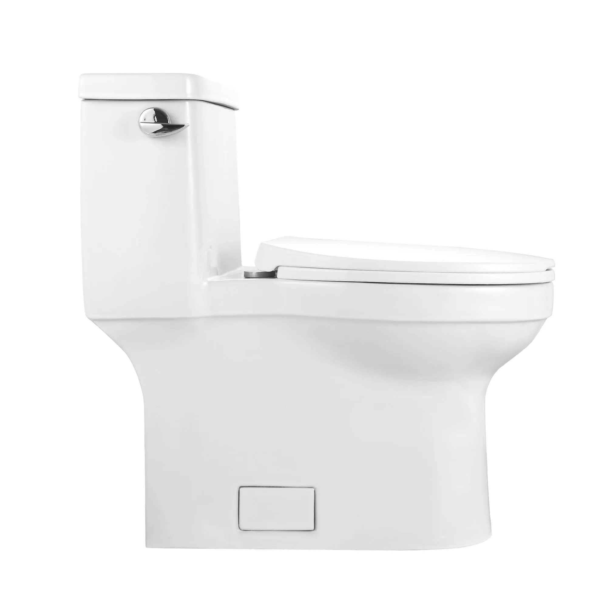 APEX One-Piece Elongated Toilet, High Efficiency Single-Flush