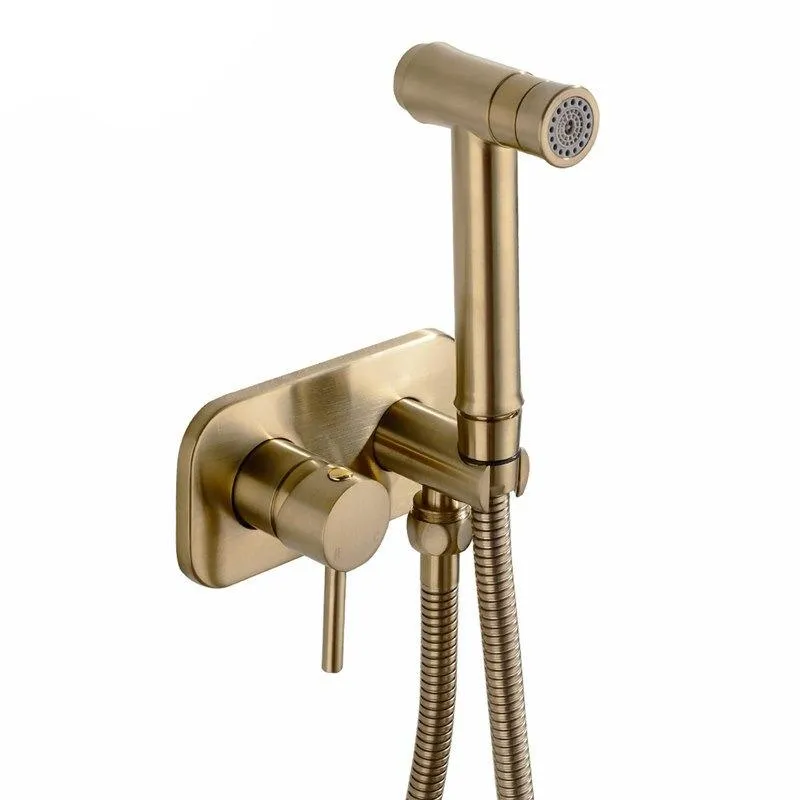 Brass Double Mode Hot and Cold Handheld Bidet Set 4 Colors Spray Handheld Bidet