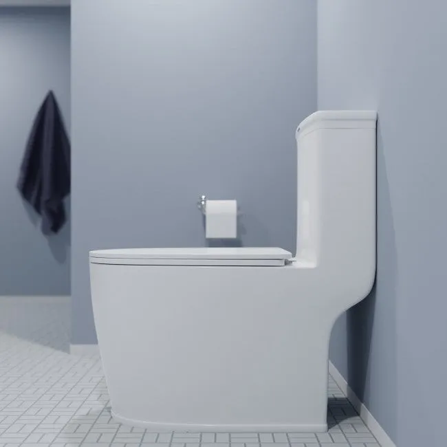 Elongated One-Piece Toilet 12" Rough-In, 1.6 / 1.1 GPF, Dual Flush in White