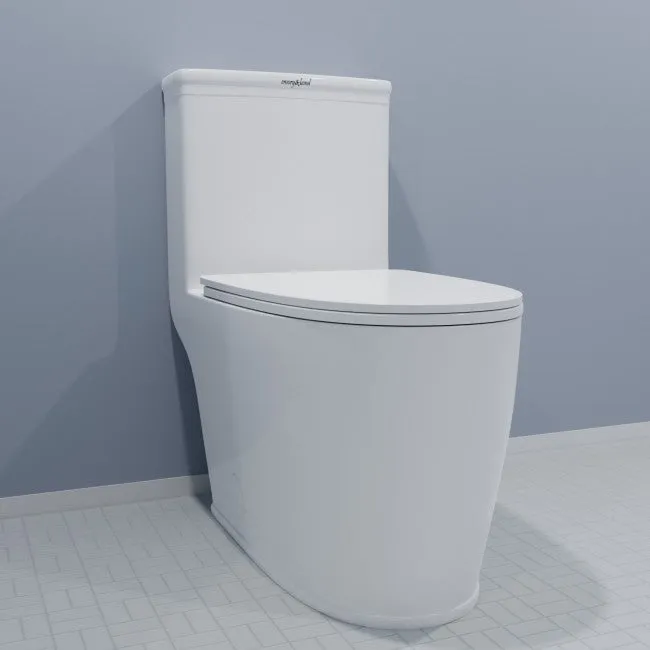 Elongated One-Piece Toilet 12" Rough-In, 1.6 / 1.1 GPF, Dual Flush in White