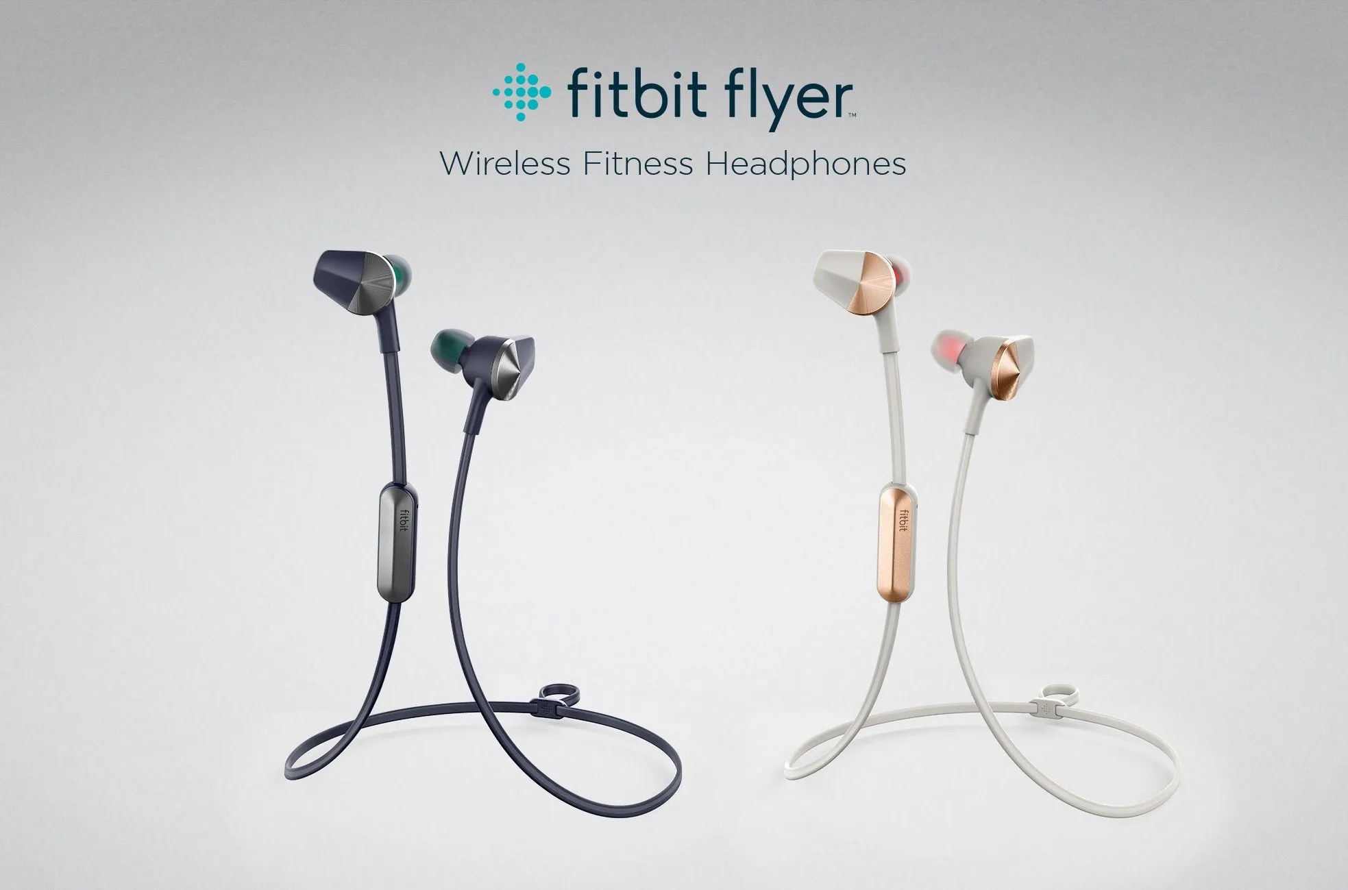 Fitbit Flyer