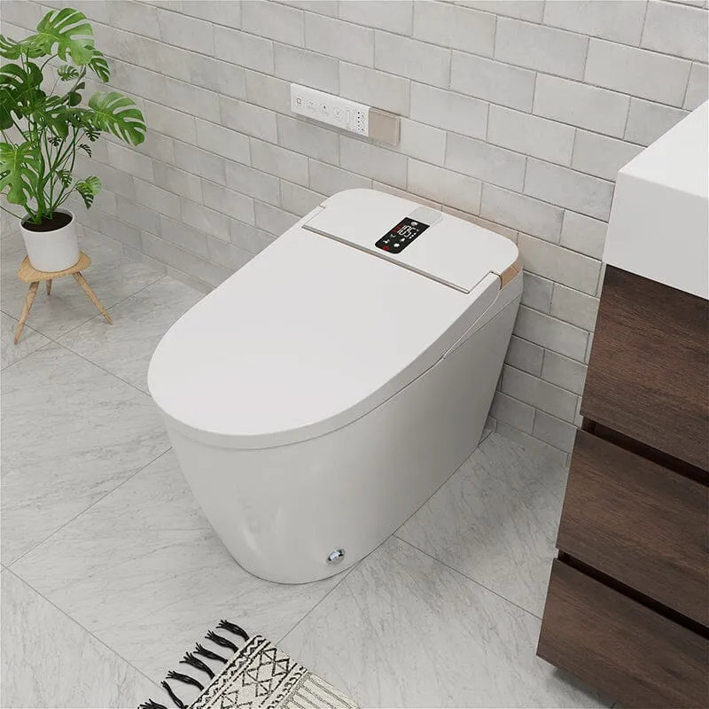 Giving Tree Elongated One-Piece Floor Mounted Smart Toilet with Remote Control and Automatic Cover