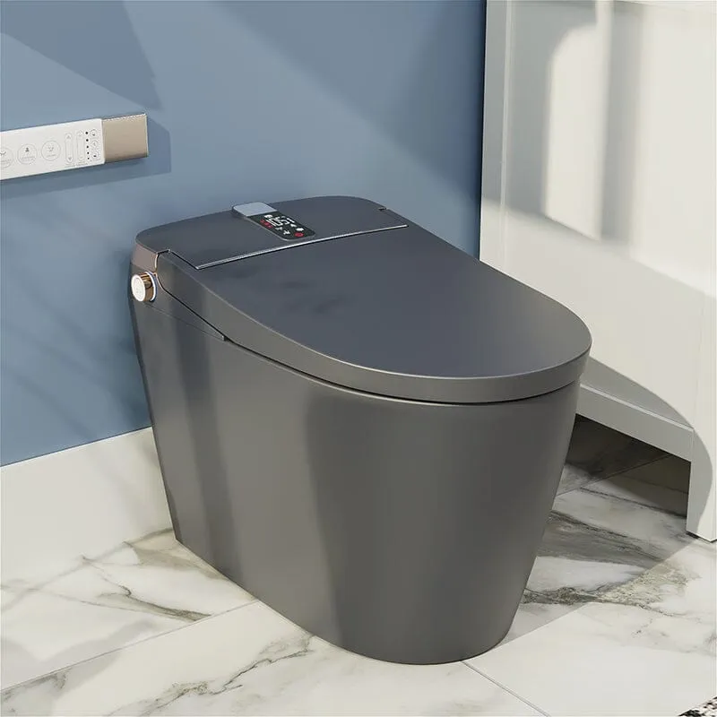 Giving Tree Elongated One-Piece Floor Mounted Smart Toilet with Remote Control and Automatic Cover