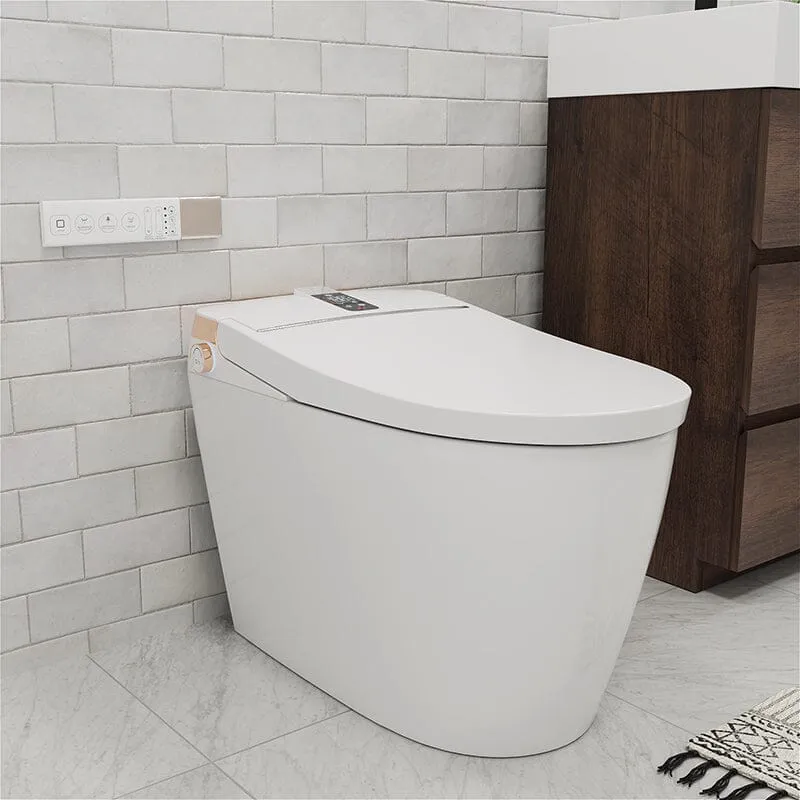 Giving Tree Elongated One-Piece Floor Mounted Smart Toilet with Remote Control and Automatic Cover