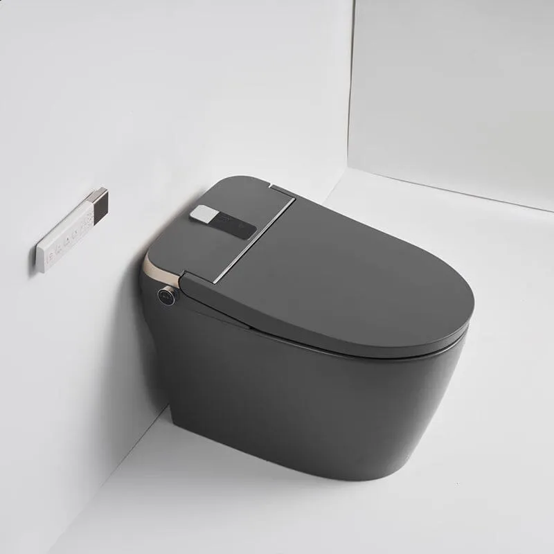 Giving Tree Elongated One-Piece Floor Mounted Smart Toilet with Remote Control and Automatic Cover