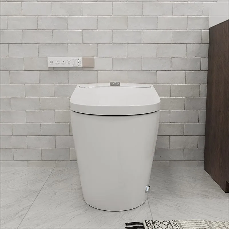 Giving Tree Elongated One-Piece Floor Mounted Smart Toilet with Remote Control and Automatic Cover