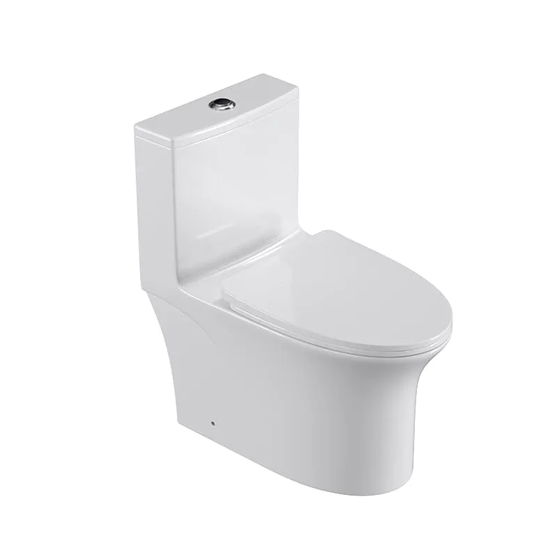 GIVINGTREE Modern Dual Flush Elongated Standard One Piece Toilet with Comfortable Seat Height