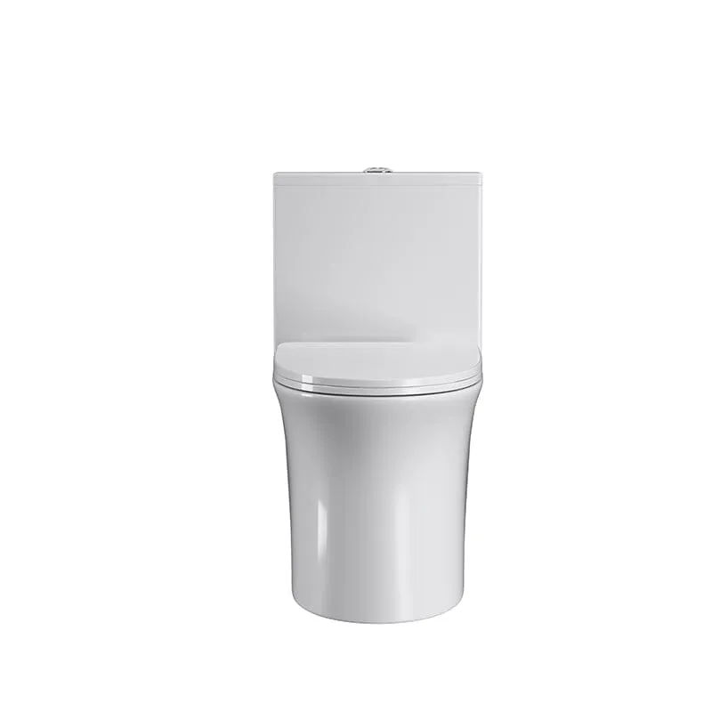 GIVINGTREE Modern Dual Flush Elongated Standard One Piece Toilet with Comfortable Seat Height