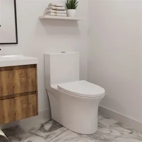 GIVINGTREE Modern Dual Flush Elongated Standard One Piece Toilet with Comfortable Seat Height