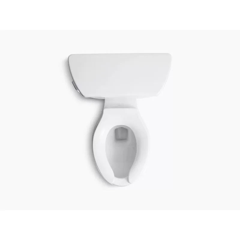 Wellworth Classic Elongated 1.0 gpf Two-Piece Toilet in White